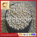 Factory Price Wholesale Blanched Peanut Kernels Long Shape